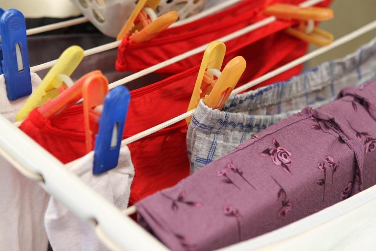 Home Collectie moderne onderkleding met naadloze designs in biologisch katoen en innovatieve stoffen